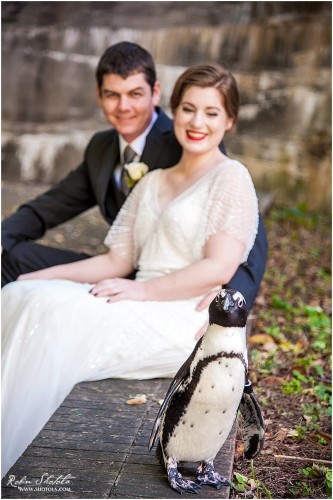 Happy Zoo Lovers Day!! #zooloversday #zoowedding #penguin #themarylandzoo #baltimore zoo