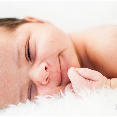 Baltimore Newborn Photographer: Baby Addison