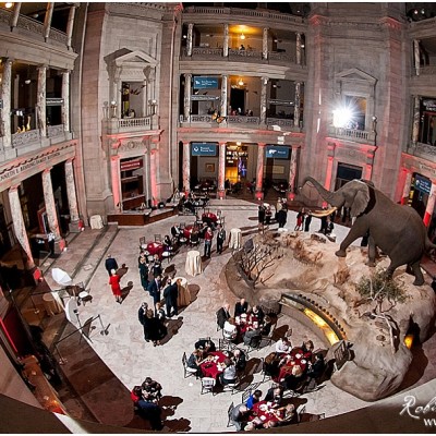 Cassaday Holiday Party Smithsonian Museum of Natural History, Washington DC – Washington DC Corporate Photographer